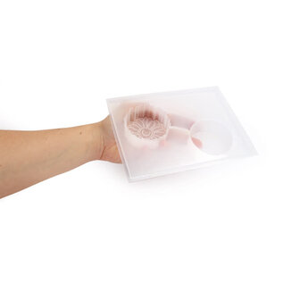 DIY Kit  Calendula Zeep