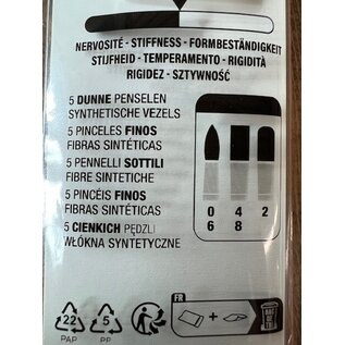 Darwi -  Set van 5 penselen Acryl