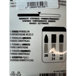 Darwi - Set van 5 penselen Acryl