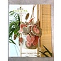 Boek - DMC Leaflet nature 1 patroon - ECO VITA
