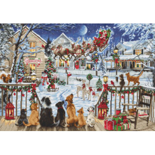 Borduurpakket Pets On The Porch - 47 x 33 cm