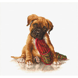 Borduurpakket The Boxer - 18 x 17,5 cm