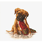 Borduurpakket The Boxer - 18 x 17,5 cm
