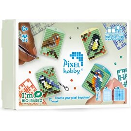 Pixelhobby Sleutelhangers Themabox - Vogels