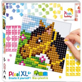Pixelpakket XL - Paard