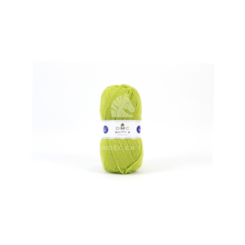 DMC - Knitty 4 - kleur 582 groen bad 53978 - 50g