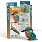 EUGY 3D - IJsvogel