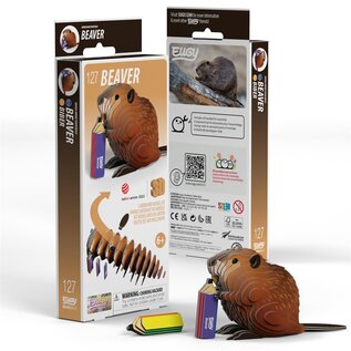 EUGY 3D - Bever