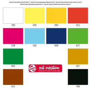 Wateroplosbare Oliepastels Set 12