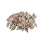 SCHELPEN STROMBUS URCEUS +/-550GR