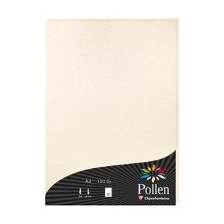 Papier - pak 50 blad 120g A4 (210x297) - Parelmoerivoor
