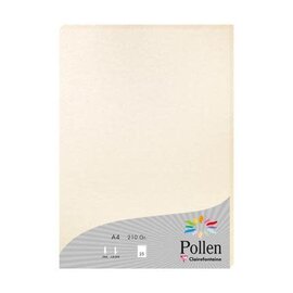 Papier - pak 25 bladen 210g 210x297mm - Parelmoerivoor