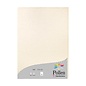 Papier - pak 25 bladen 210g 210x297mm - Parelmoerivoor