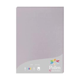 Pak van  25 bladen 210g 210x297mm - Koalagrijs