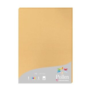 Pak met 25 bladen 210g 210x297mm - Karamel