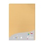 Pak met 25 bladen 210g 210x297mm - Karamel