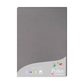 Pak met 25 bladen 210g 210x297mm - Gris acier