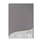 Pak met 25 bladen 210g 210x297mm - Gris acier