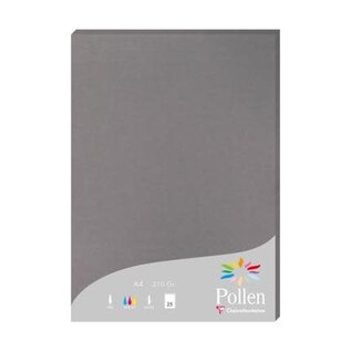 Pak met 25 bladen 210g 210x297mm - Gris acier