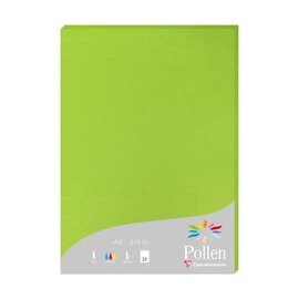 Pak met 25 bladen 210g 210x297mm - Muntgroen