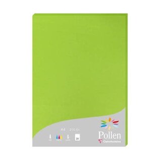 Pak met 25 bladen 210g 210x297mm - Muntgroen
