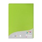 Papier - Pak met 25 bladen 210g 210x297mm - Muntgroen