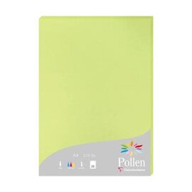 Papier - Pak met 25 bladen 210g 210x297mm - Bloemknopgroen