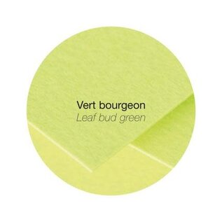 Papier - Pak met 25 bladen 210g 210x297mm - Bloemknopgroen
