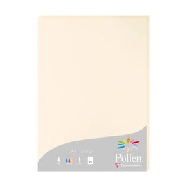 Pak met 25 bladen 210g 210x297mm - Ivoor
