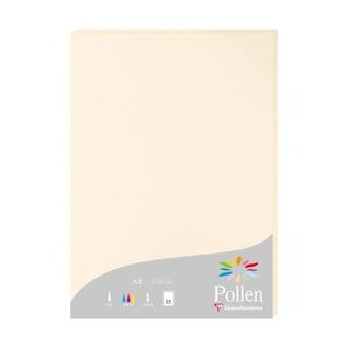 Pak met 25 bladen 210g 210x297mm - Ivoor