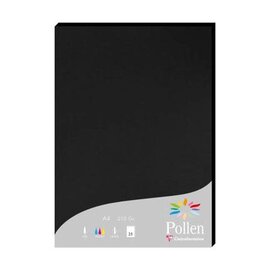 Papier - Pak 25 bladen 210g 210x297mm - Zwart