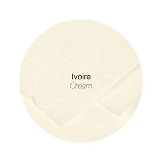 Papier - Pak van 50 blad 160g A4 (210x297mm) - Ivoor