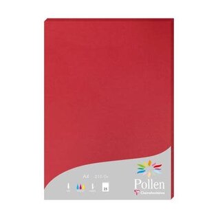Papier - Pak met 25 bladen 210g 210x297mm - Kersenrood