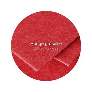 Papier - Pak met 25 bladen 210g 210x297mm - Kersenrood