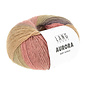 AURORA 1163.0001 bad 4810