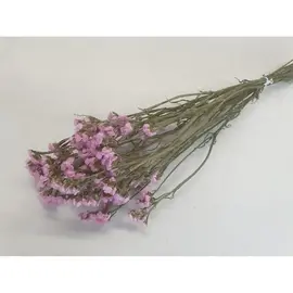 Bloemen - STATICE SINUATA LICHT ROZE NATUREL