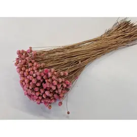 Bloemen - CONGONHAS ROZE +/-100GR