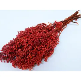 PEPPERBERRY ROOD