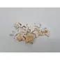 Decoratiemateriaal - COCOSNOOT STERREN 4-5CM WHITE MET GOLD-TOUCH 10ST