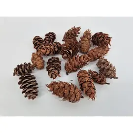 DECORATIEMATERIAAL - DOUGLASII NATUREL +/-500GR