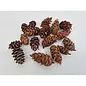 DECORATIEMATERIAAL - DOUGLASII NATUREL +/-500GR