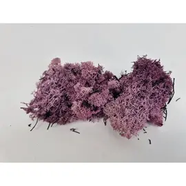 IJSLANDS MOS GECONSERVEERD AUBERGINE +/-450GR