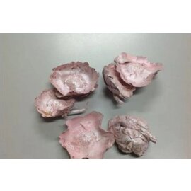 DECORATIEMATERIAAL - COCO FLOWER PEARL PINK +/-250GR