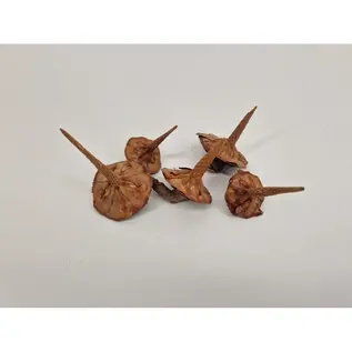 DECORATIEMATERIAAL - CEDER BASIS NATUREL 40ST