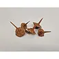DECORATIEMATERIAAL - CEDER BASIS NATUREL 40ST