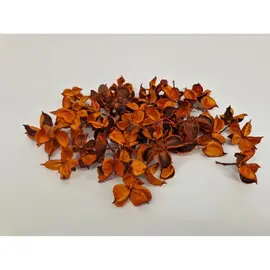 COTTON PODS ORANJE (ABRIKOOS) +/-250GR