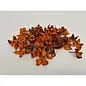 COTTON PODS ORANJE (ABRIKOOS) +/-250GR