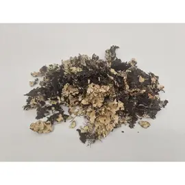 KORSTMOS - MUSGO NATUREL