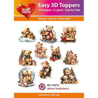 Easy 3D Designs pakket Winter Teddy Bears