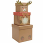 Rendier geschenkdoosset